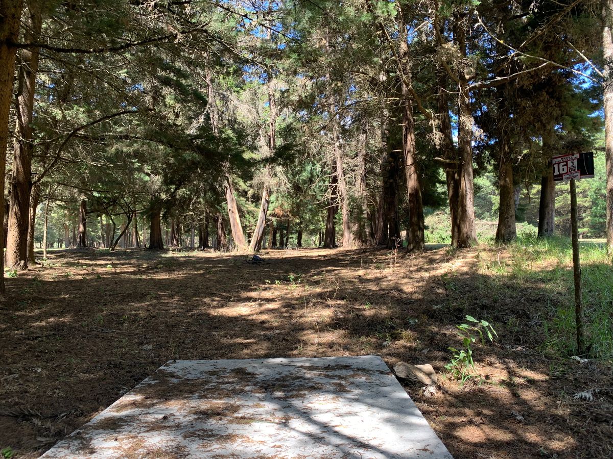 Hole #16 tee pad