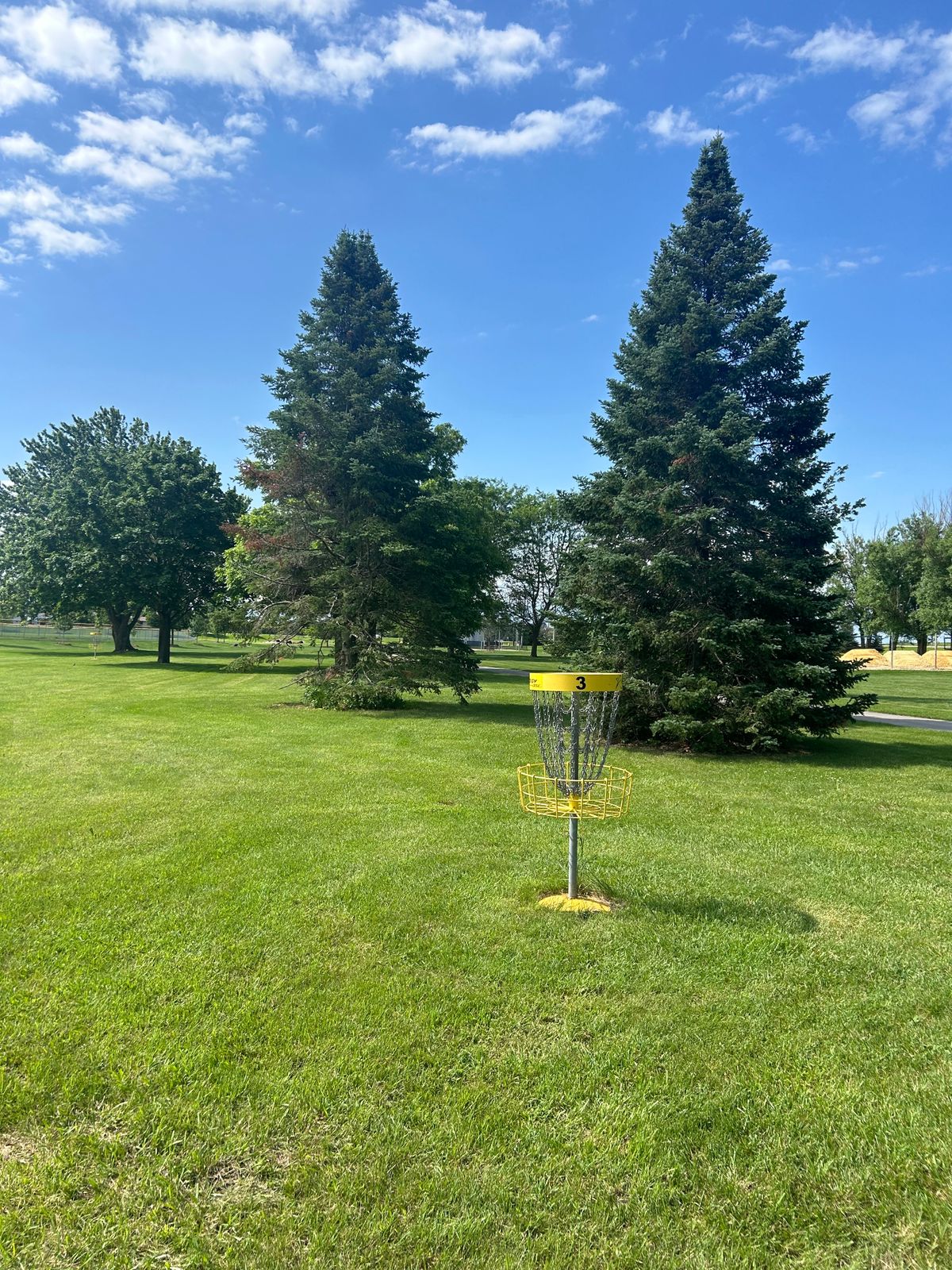 Hole 3 basket with trees around