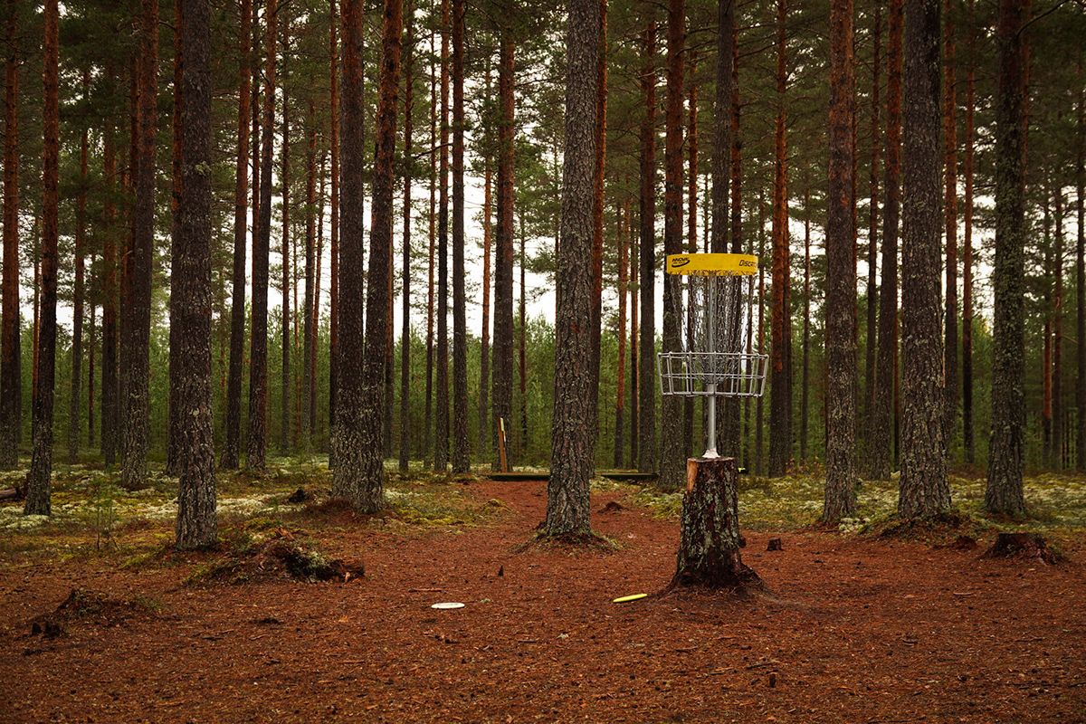 Basket hole 19