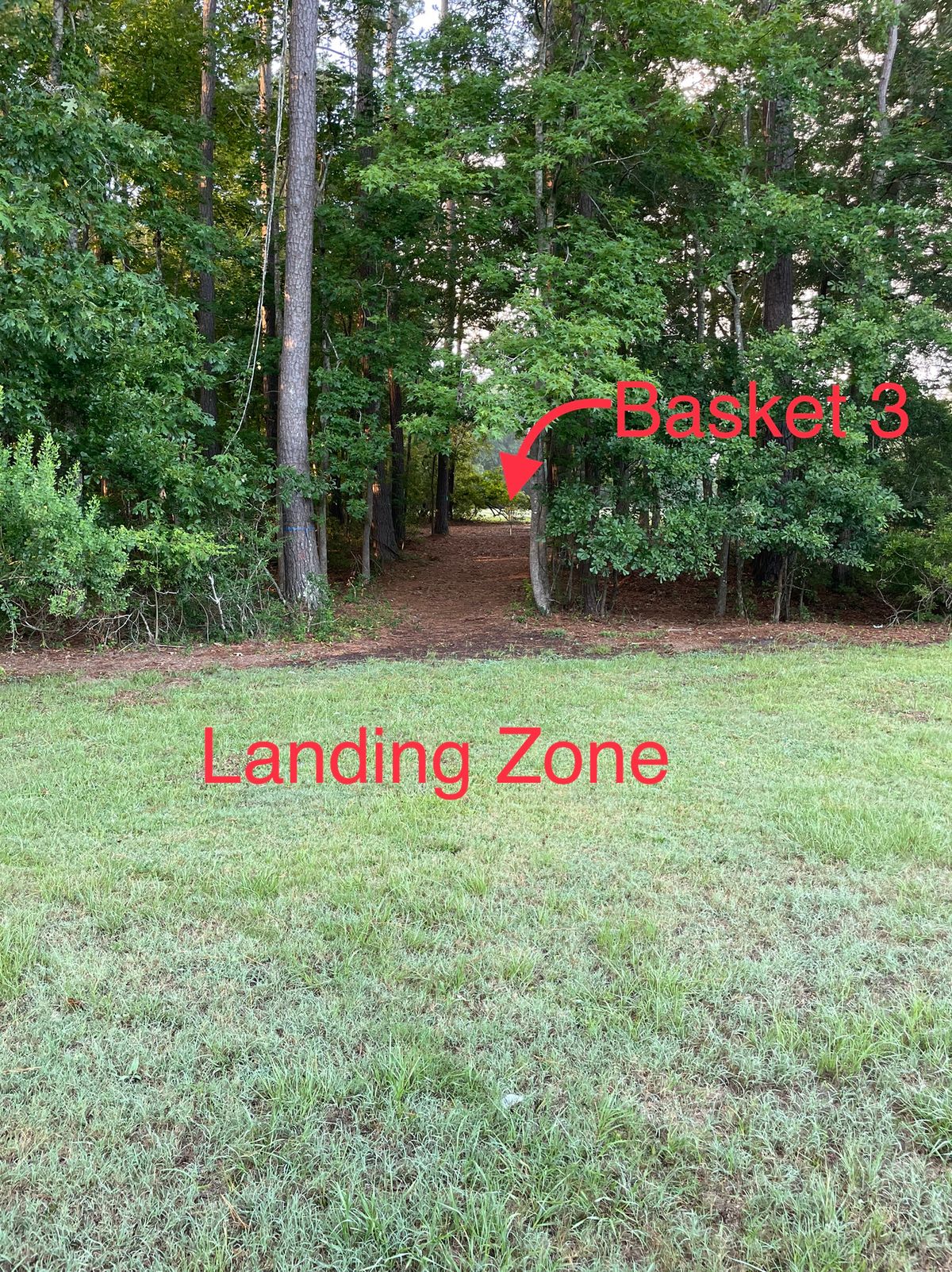 Hole 3 landing zone beyond tennis courts with tunnel shot to basket.