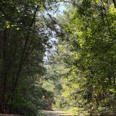 Hole 7 tunnel