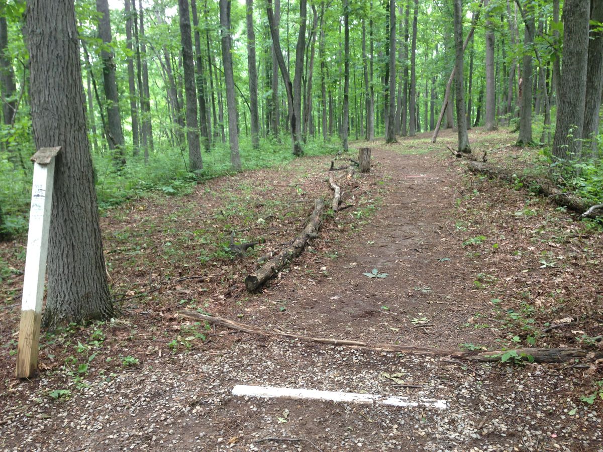 Hole 4