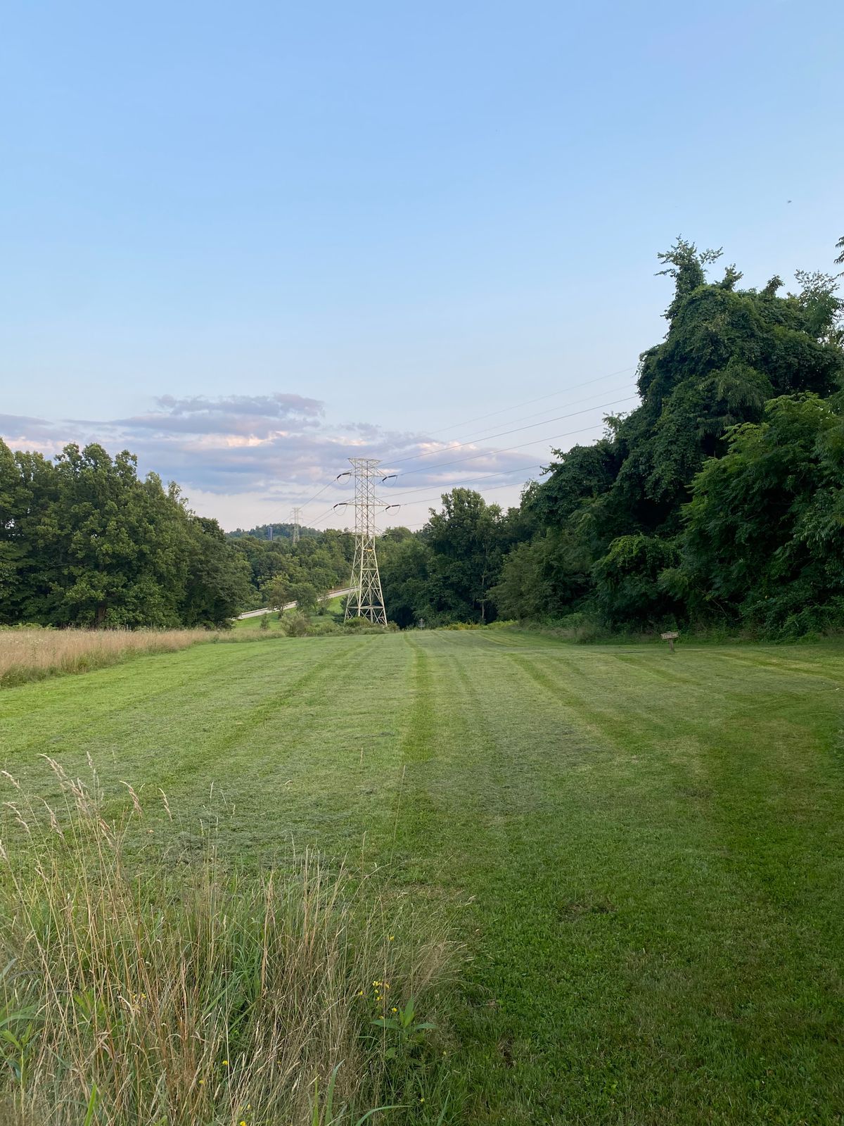 Temp hole 13 tee
