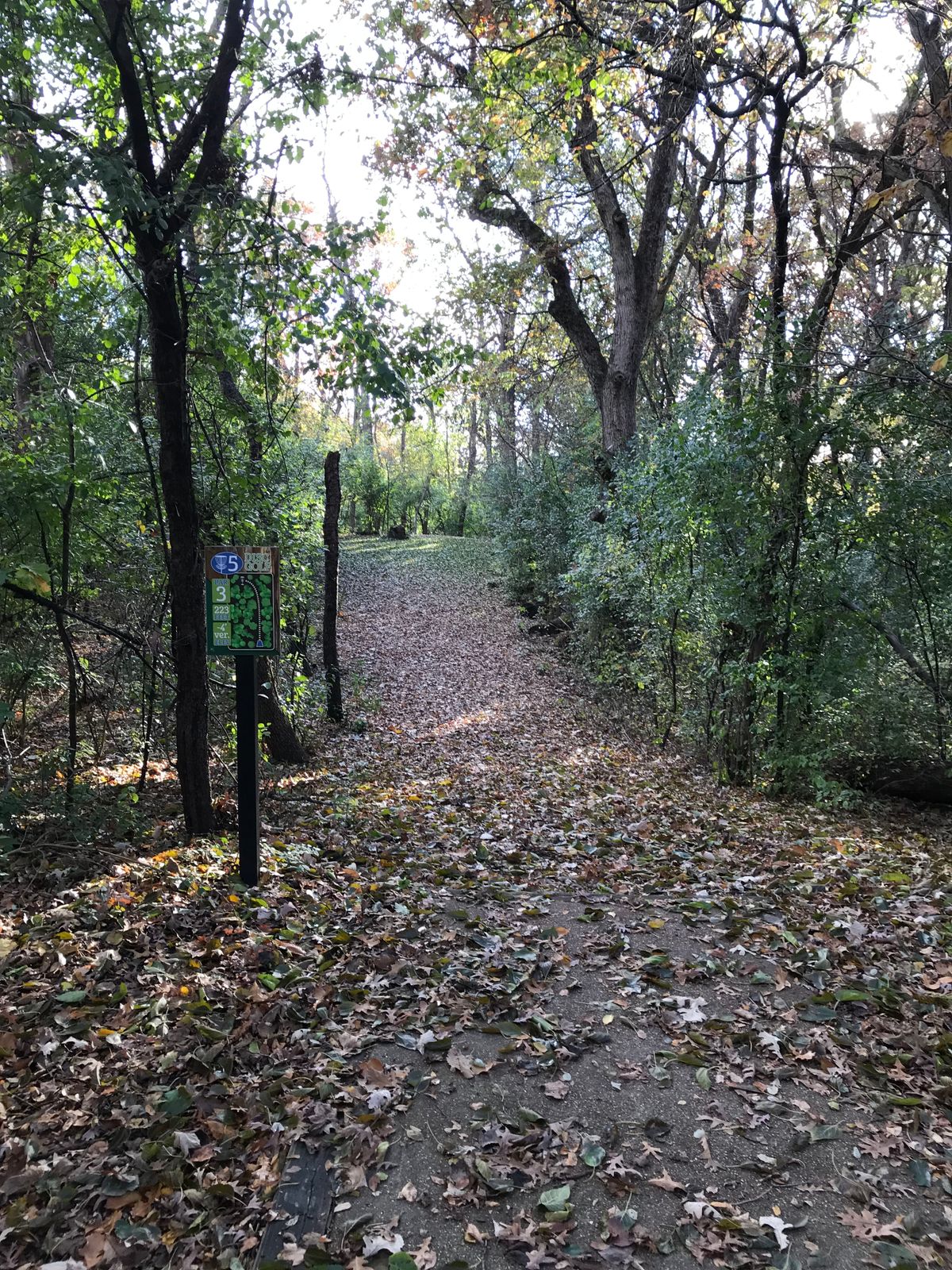 Hole 5