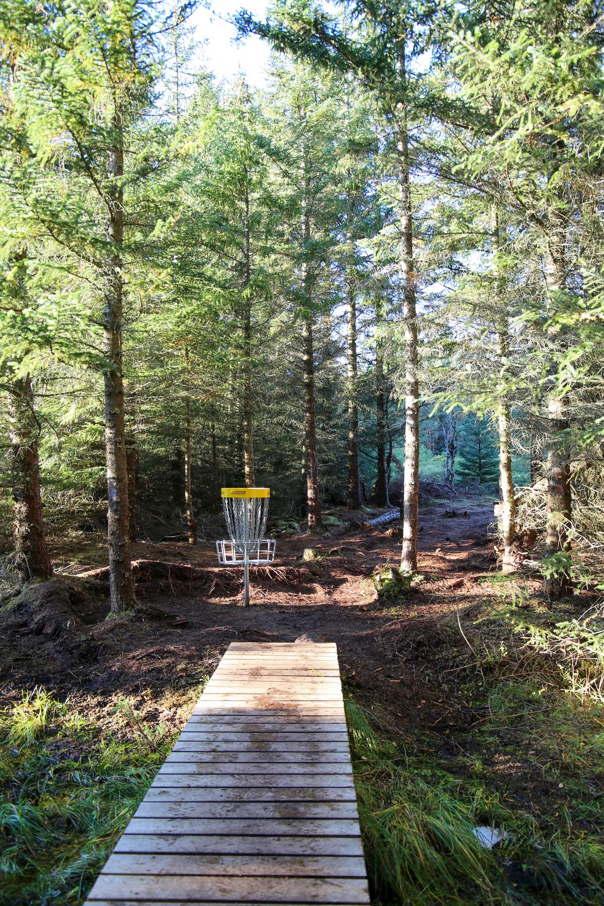 Ett av hullene som er inn i skogen