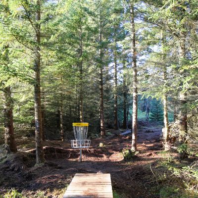 Ett av hullene som er inn i skogen