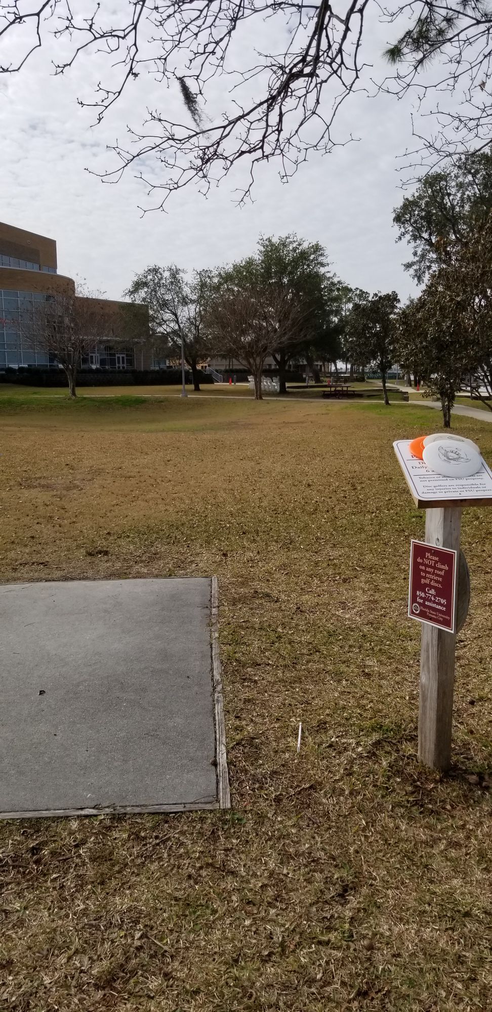 Hole 16 Tee Box