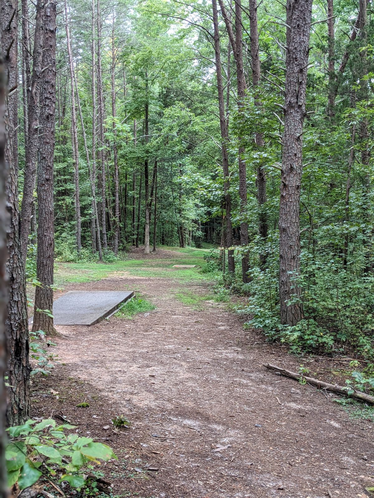 Looking down fairway of 17, walking toward white tee pad.