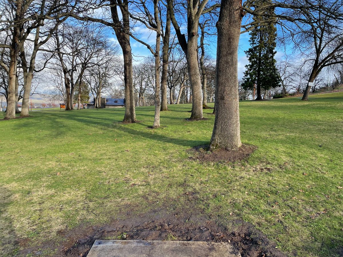 Tee pad 5