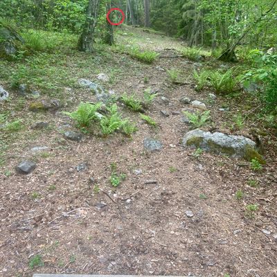 5. Uppför. Svag dogleg vänster.