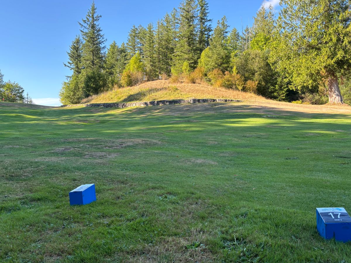 Hole 17 blue tee pad.