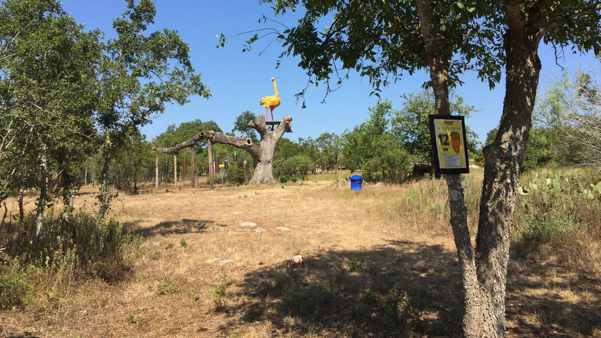 Flying Armadillo DGC Gold Mini Course Photos