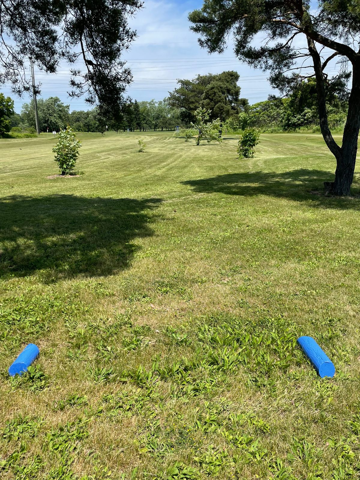 Hole 6 tee off