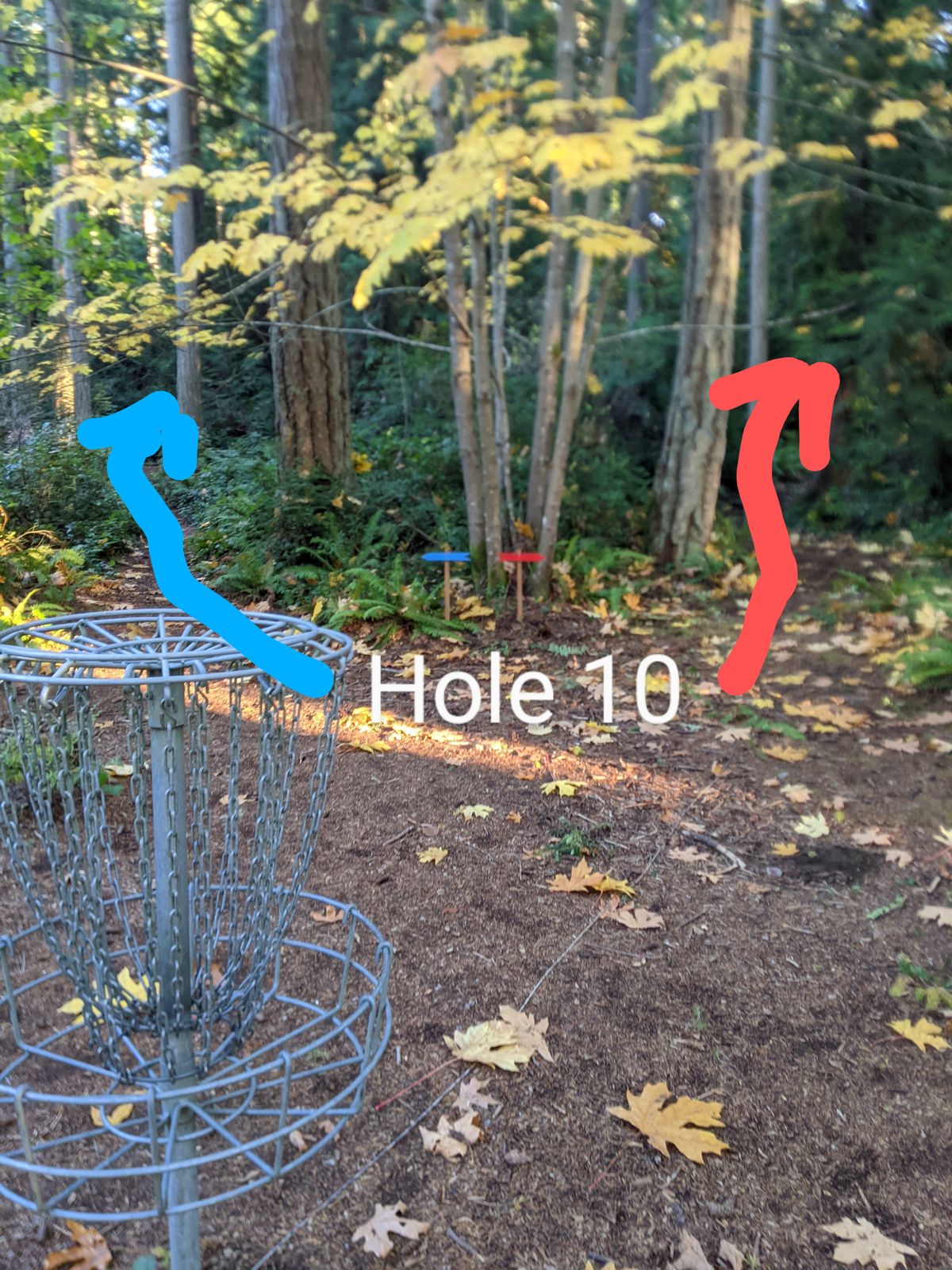 Basket 9 to Hole 10 Tee areas