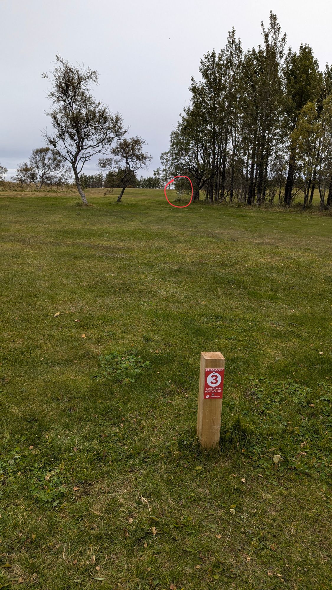 9-hole course, hole #3