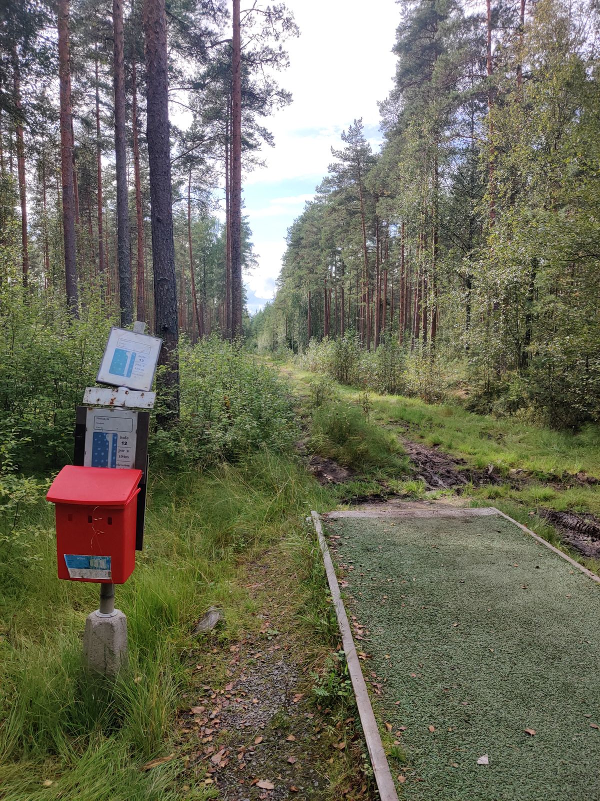 Väylä #12. Tie todella mutainen ja huonossa kunnossa. Jos heittää yhtään oikealle, on vaikea löytää kiekkoa.