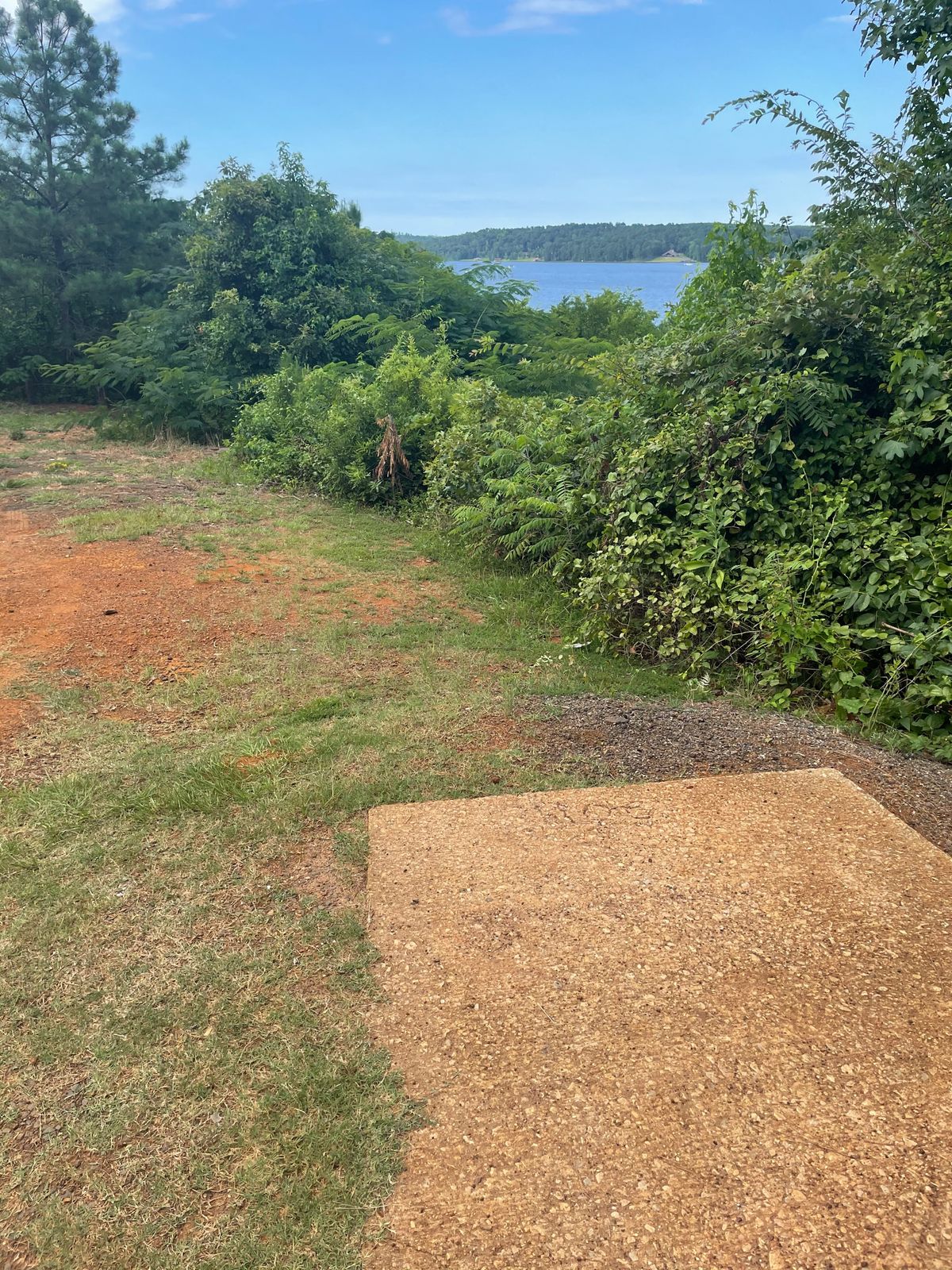 Hole 11..... crazy hole.  Either lay up and throw to first trail head. Hole is down hill by water
