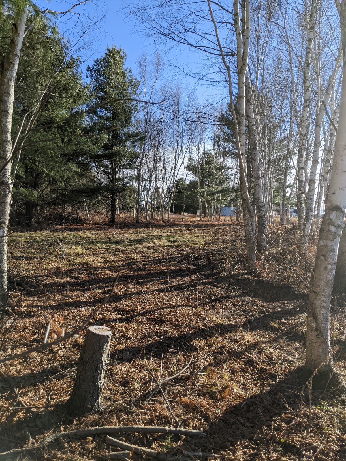 Hole 9 Fairway