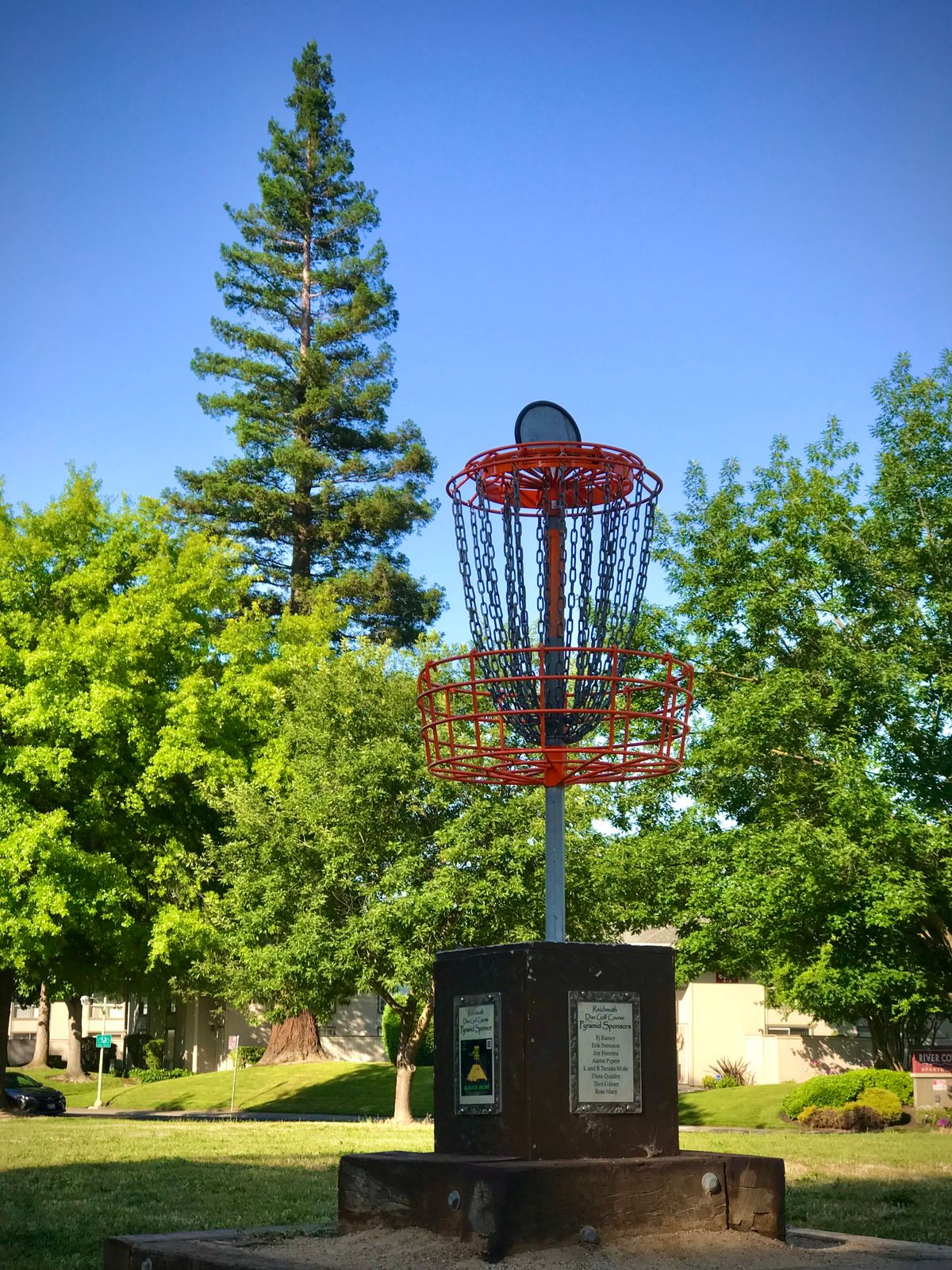 One of 2 beautifully elevated baskets