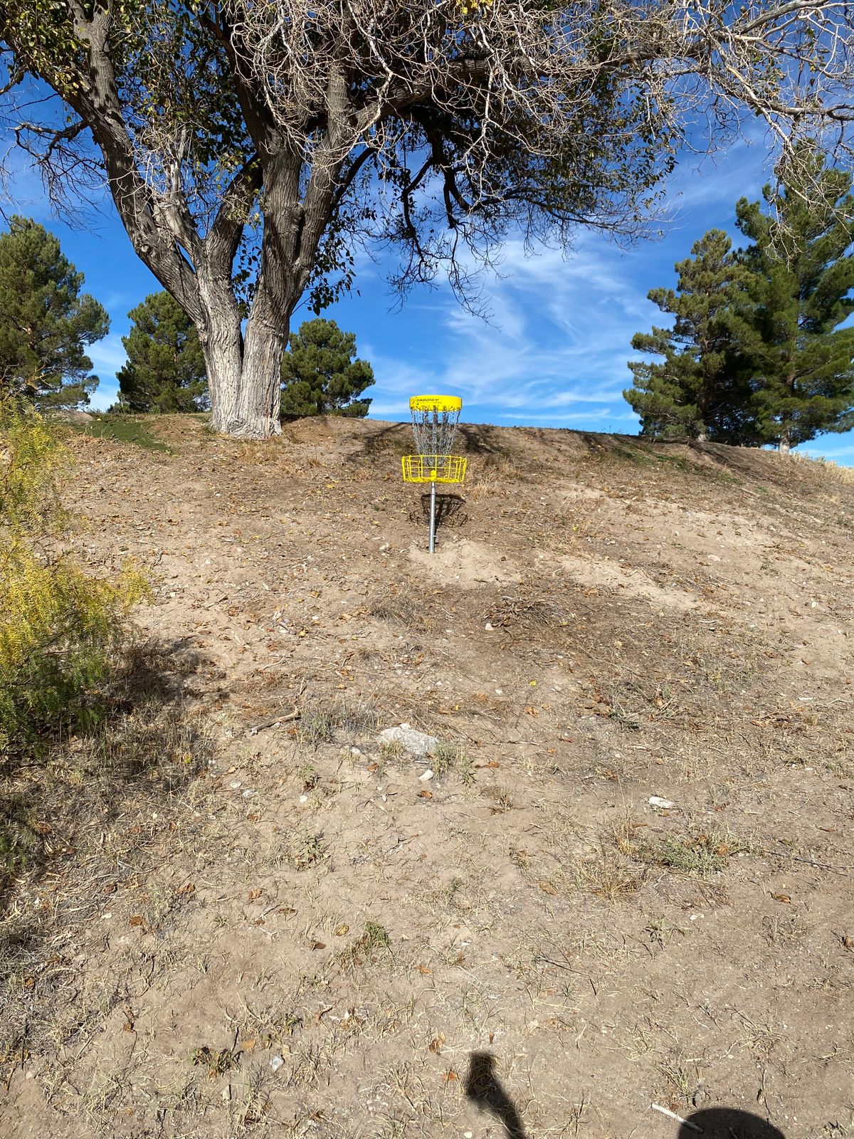 Here's a look at the basket on hole 11