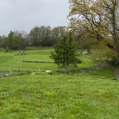 Course photo