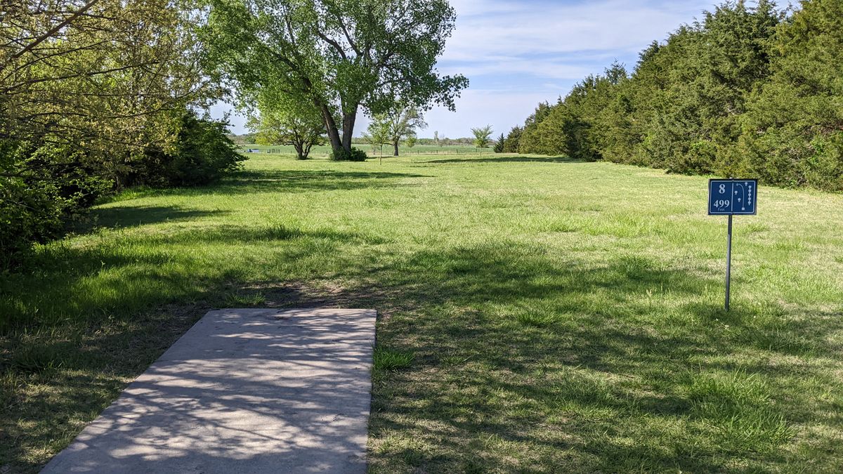 Tee #8