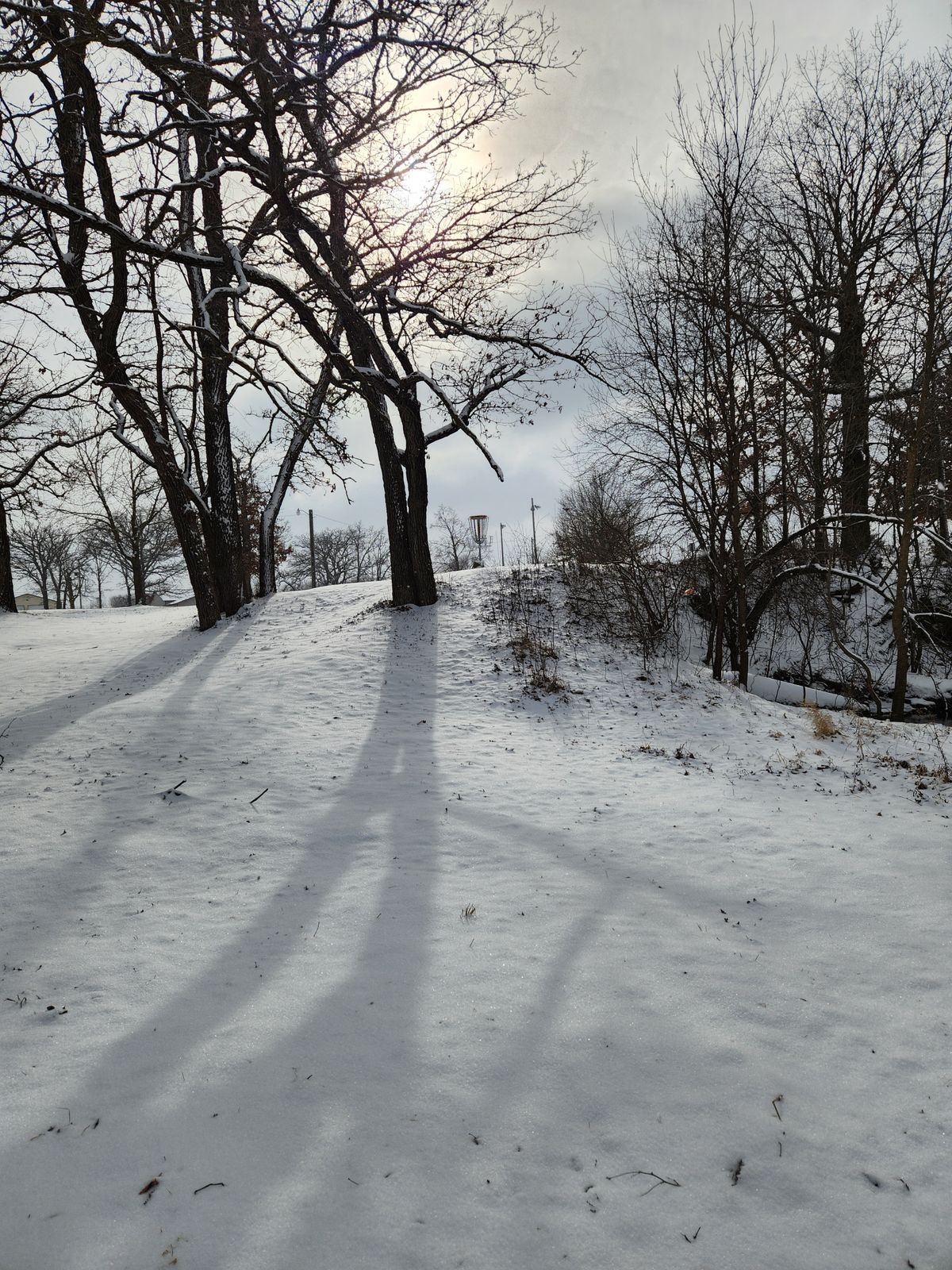 Hole 27 Feb '25