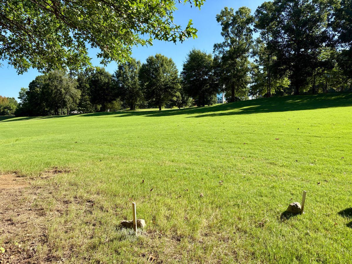 Hole 12 tee