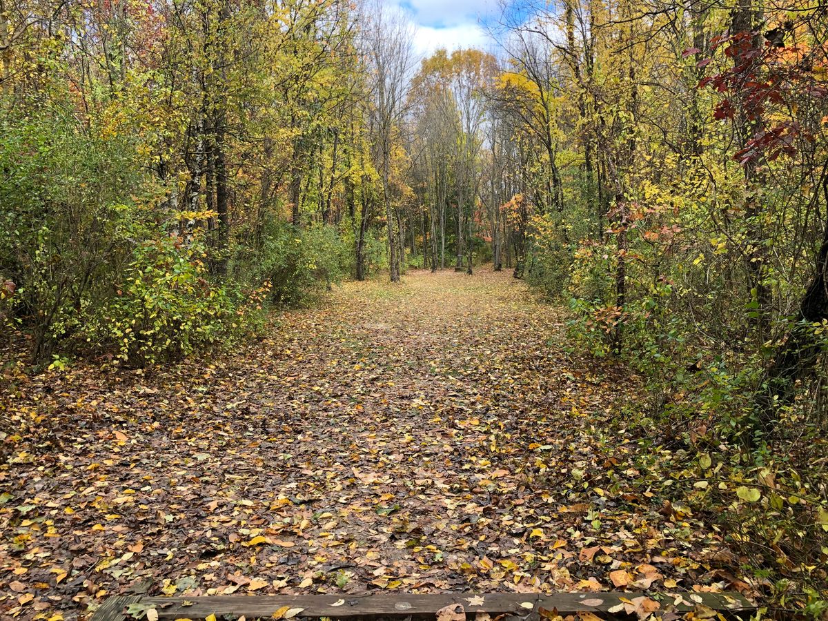 Hole 8 short teepad