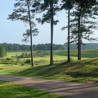 Overlooking levee holes with 13’s tee down the road