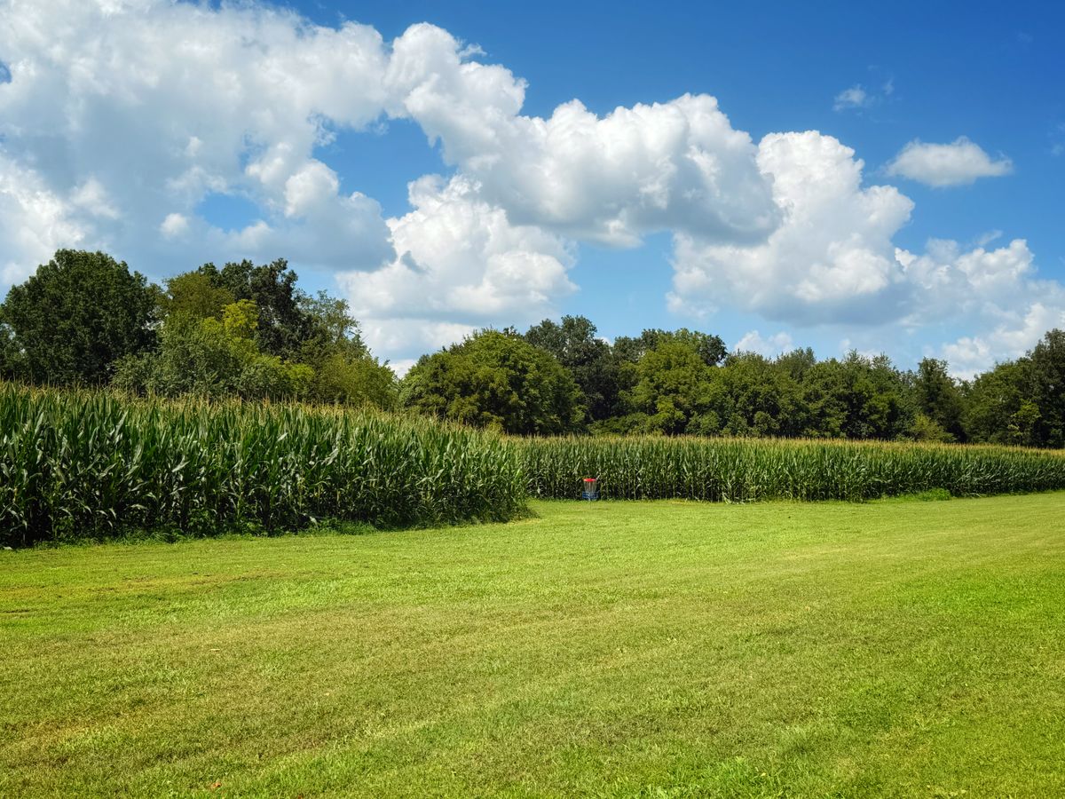 Don’t throw it in the corn field on Hole 6!