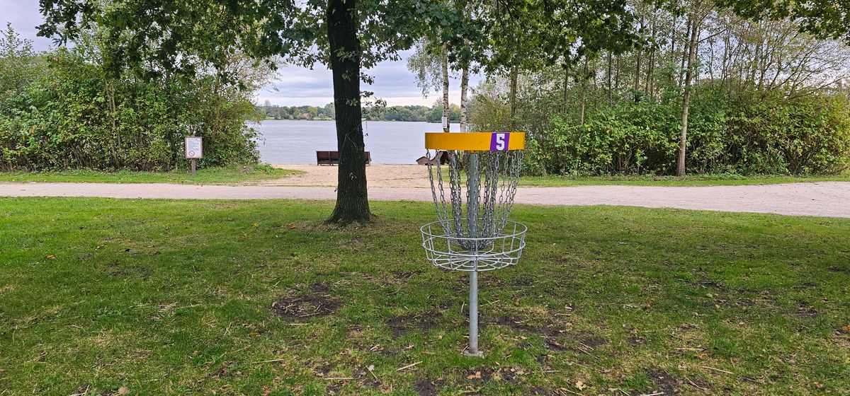 5 - basket