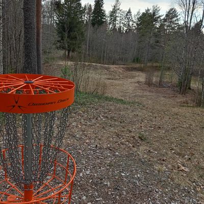 Väylä 4 korilta tiille. Tii on vasemmanpuoleisimman kuusen juurella.