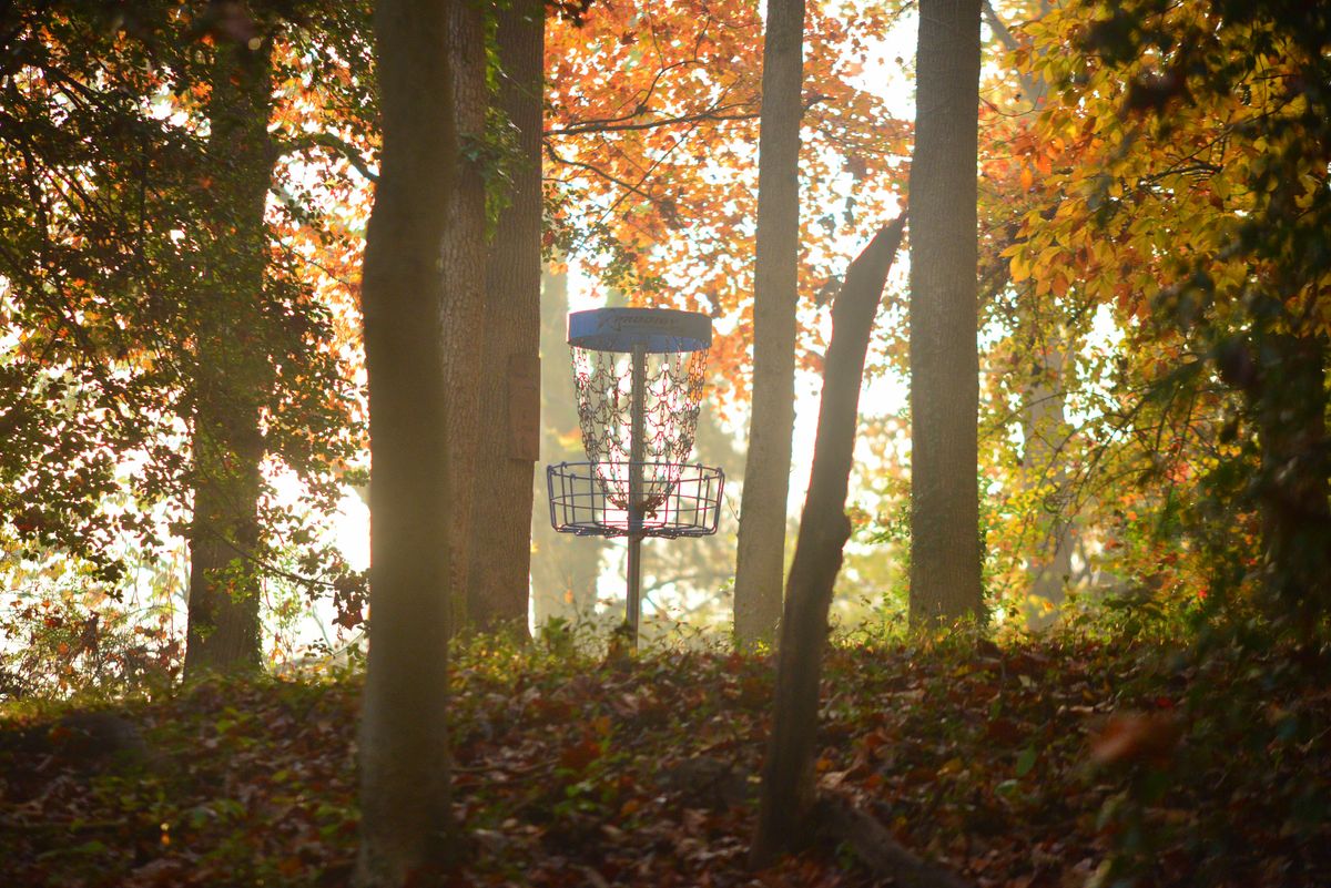 Five in the fall