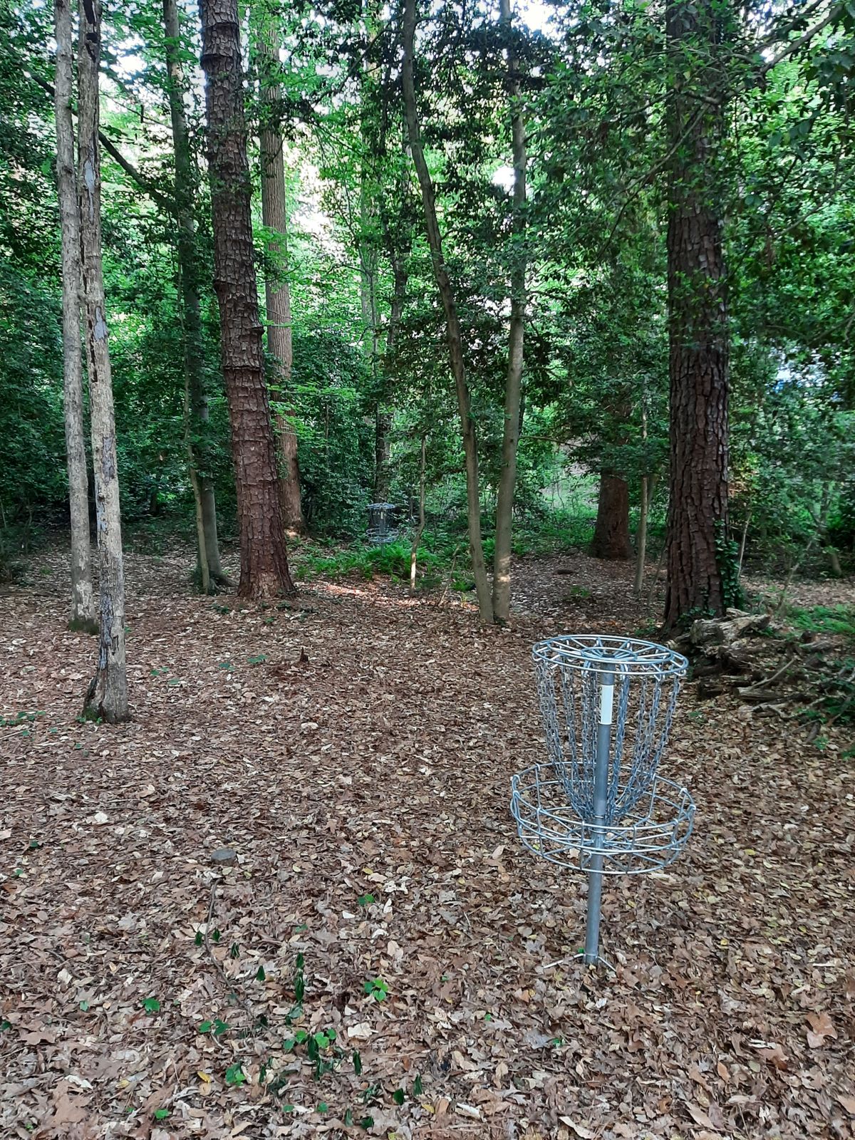 Hole 22 Approach B Pin