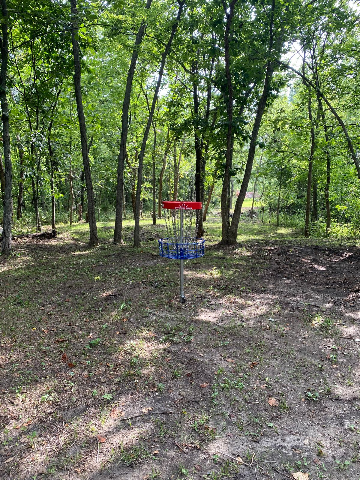 Basket to tee pad view hole #4