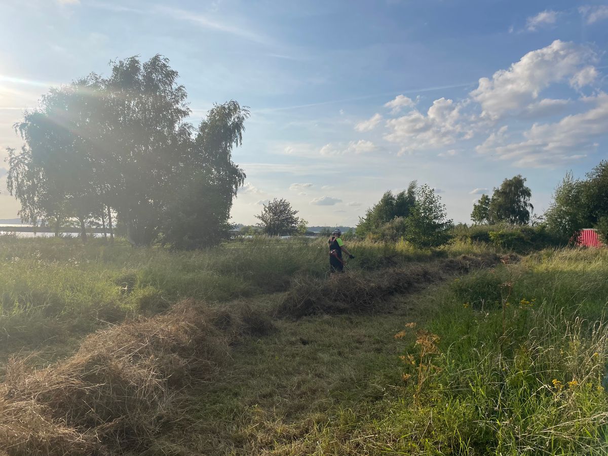 Röjning hål 7