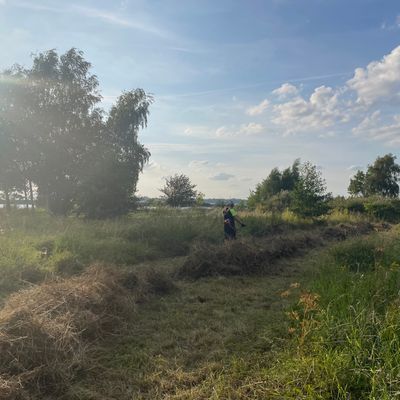 Röjning hål 7