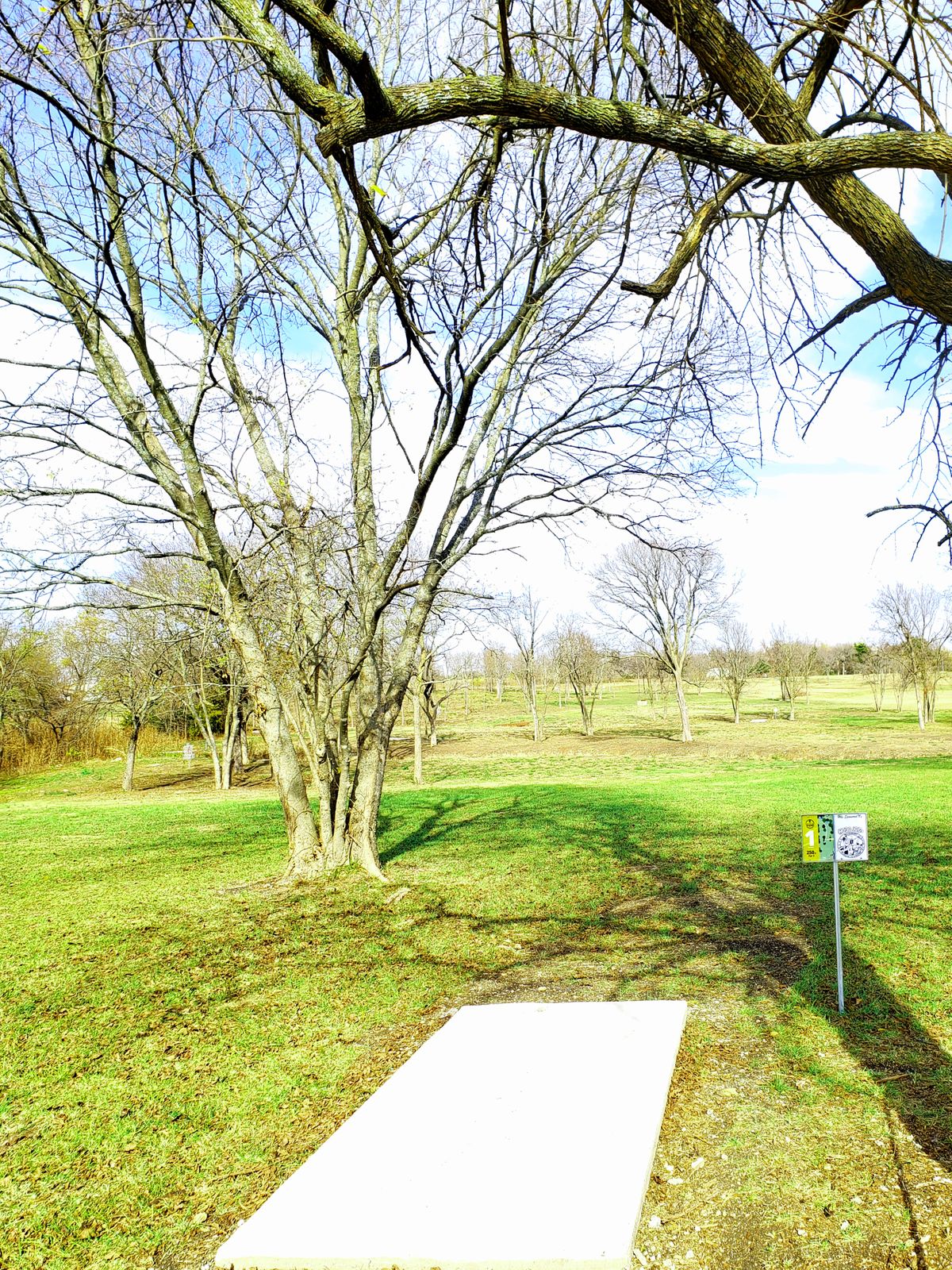 1 Amateur. 250 ft/ par 3