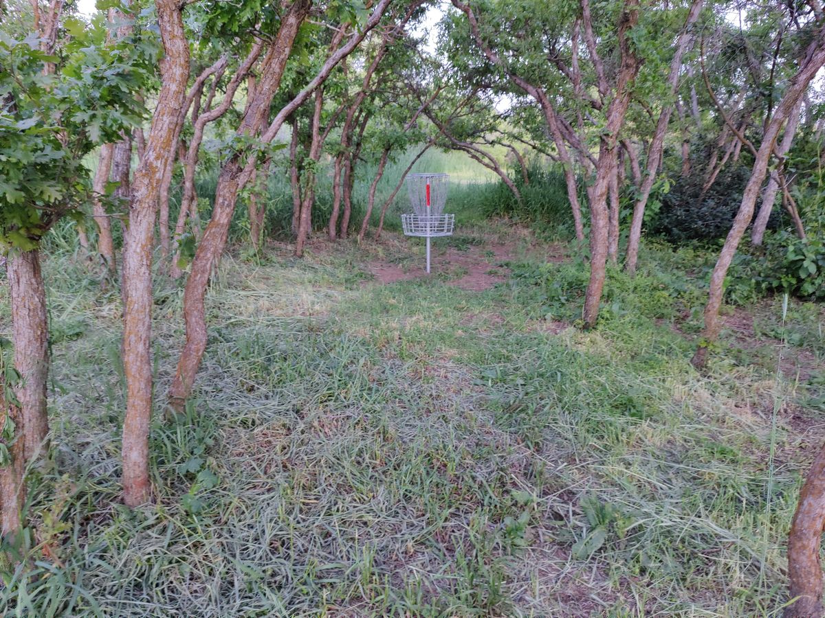 Hole #8 basket