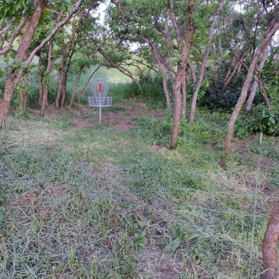 Hole #8 basket
