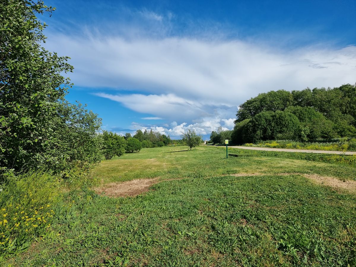 Hole 4