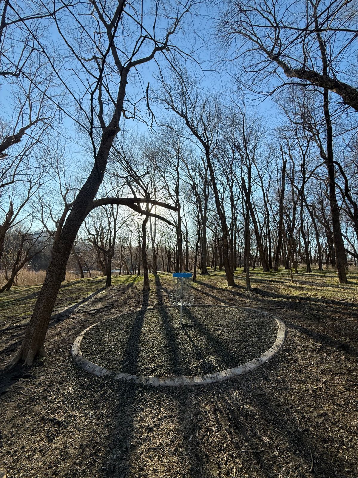 Hole 5 Basket