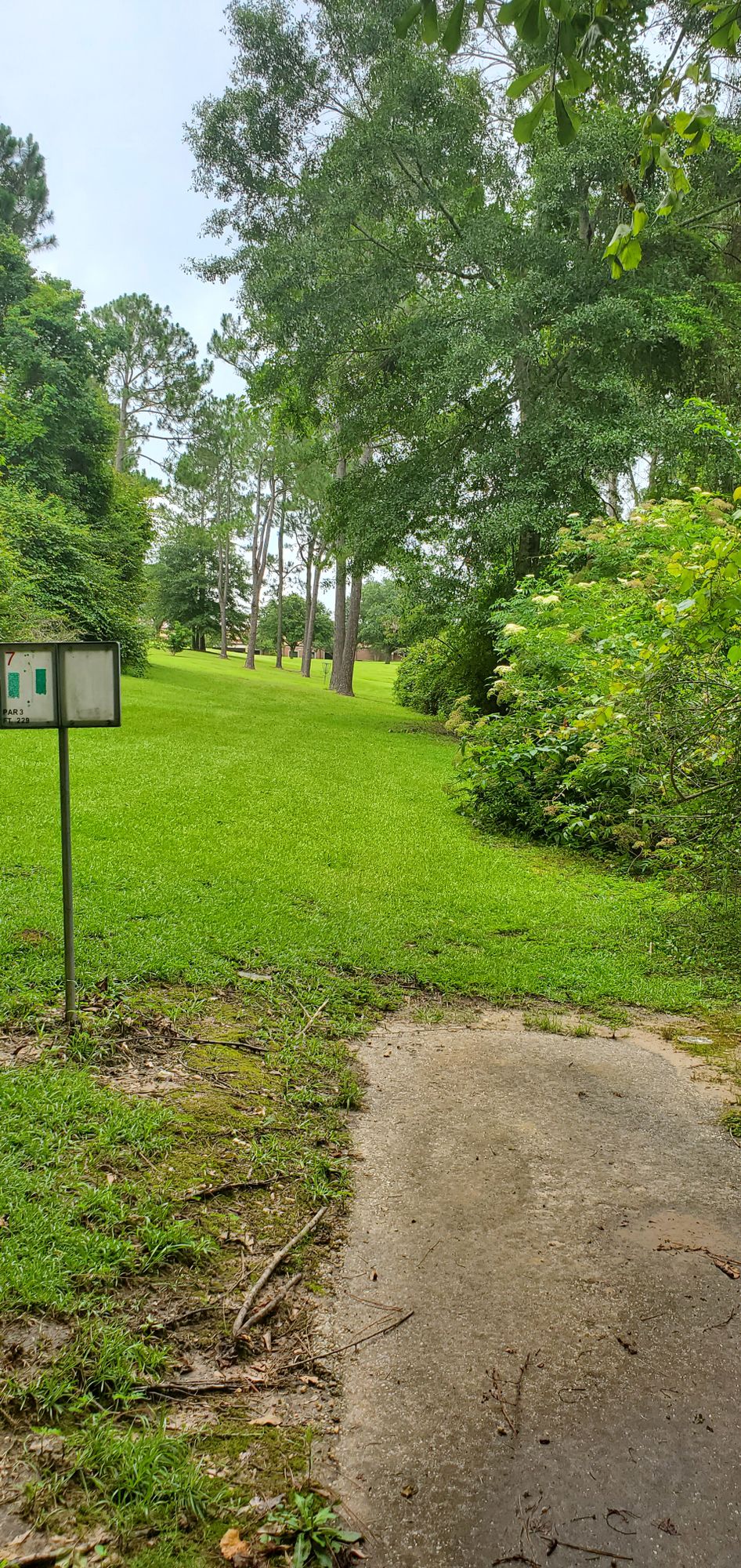 Tee #7