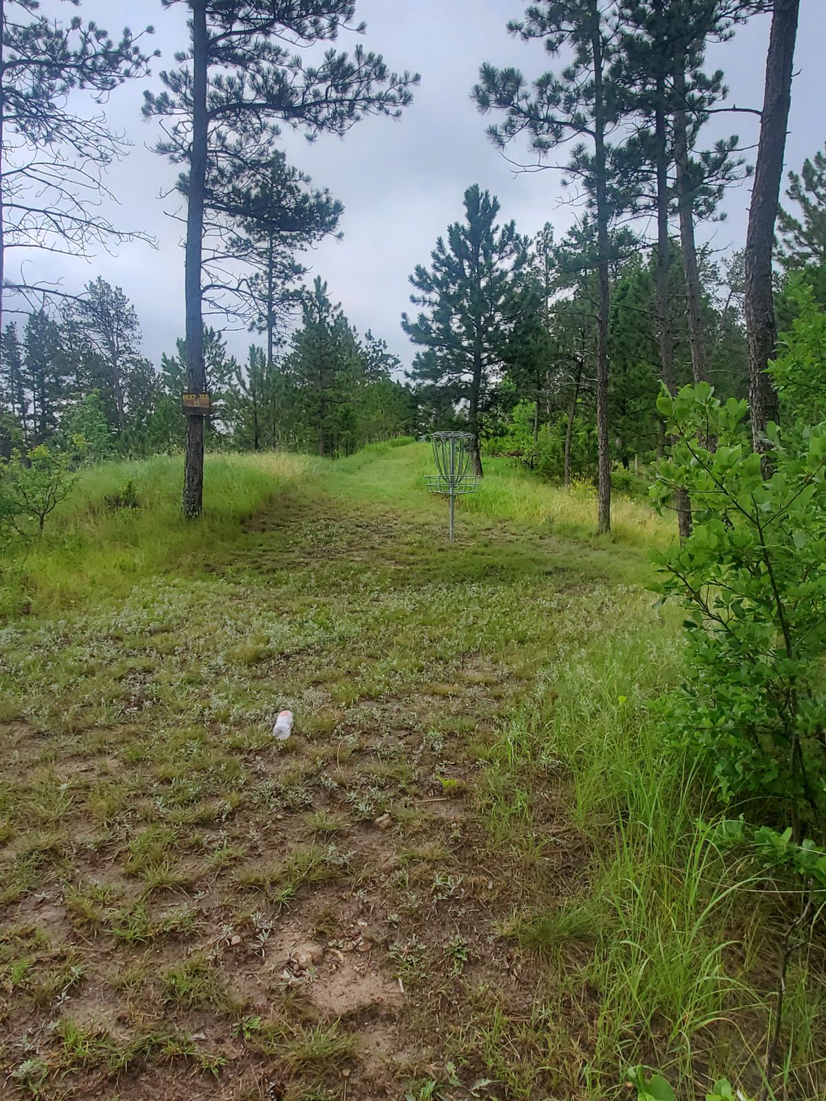 Hole 6