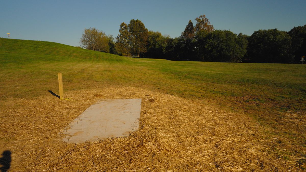 Hole 7 Tee