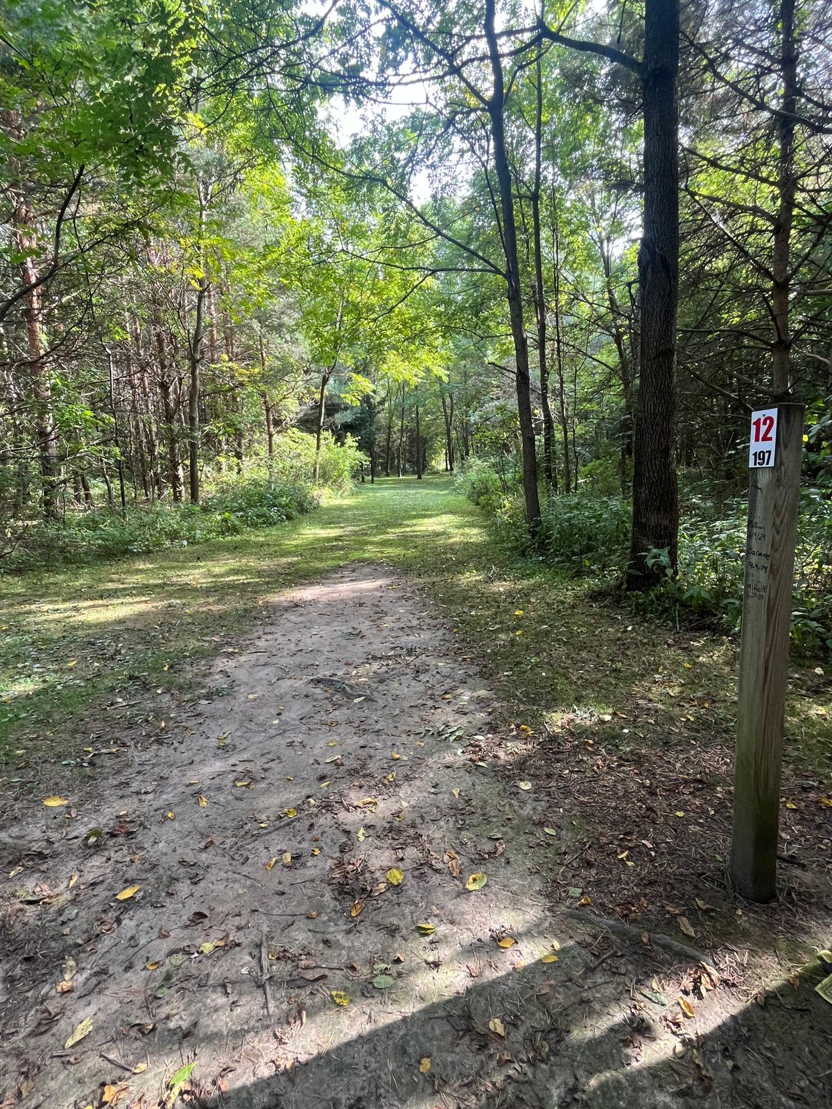 Hole 12