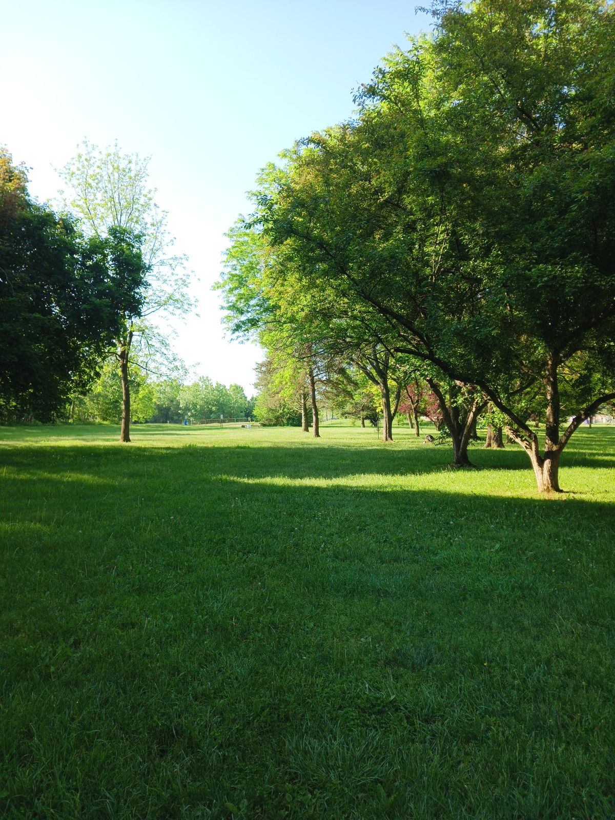 Hole 7