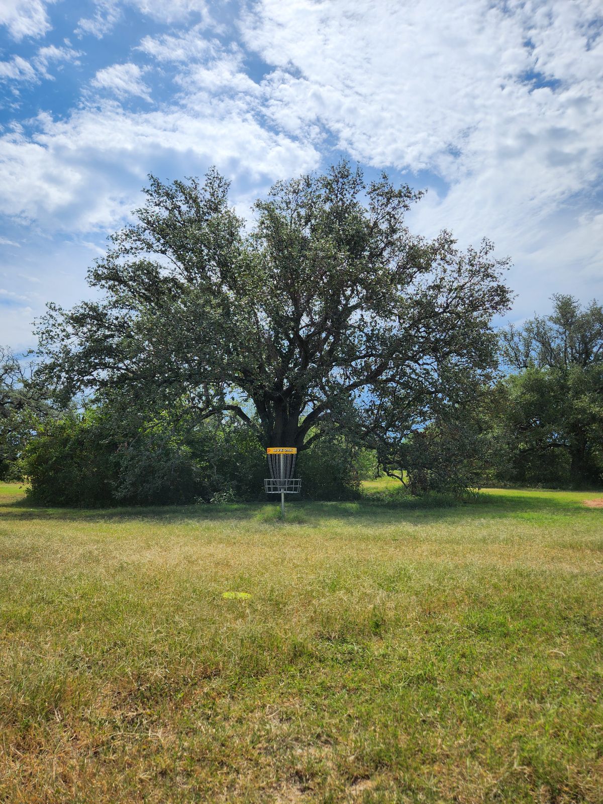 # 17 in front of  a live oak tree.