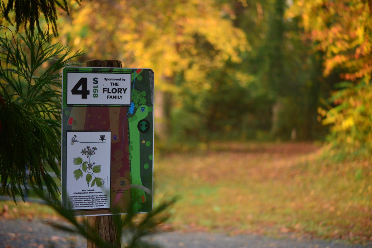 Many thanks, Florys!